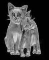 Sterling Silver Cat Pals Pendant or Pin