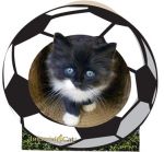 Soccer Ball Cat Scratcher