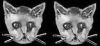 Sterling Silver Cat Earring Studs