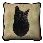 Black Cat Pillow
